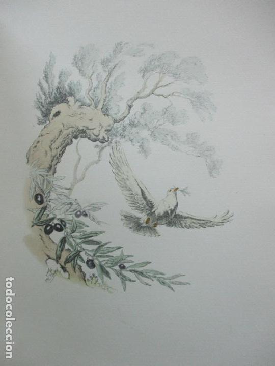 Libros: FLORS DE MARIA. - VERDAGUER, Jacint. - Foto 14