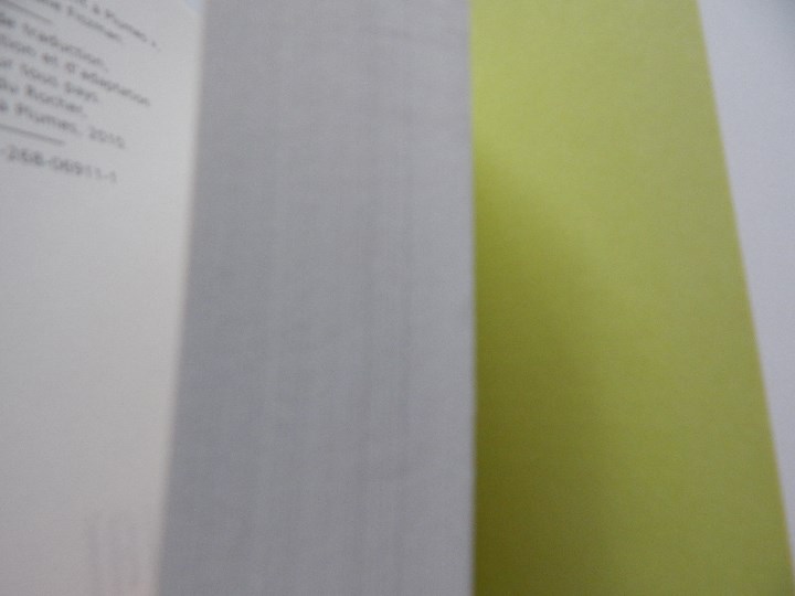 Libros: Le piment des plus beaux jours - J&eacute;r&ocirc;me Nouhoua&iuml; - Libro en franc&eacute;s - Foto 6