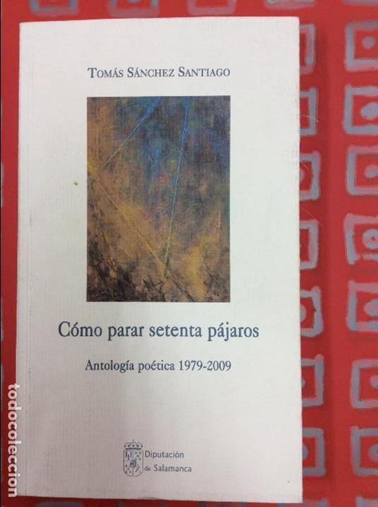 Libros: como parar setenta pajaros - Foto 1