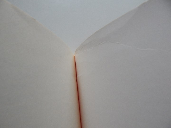 Libros: La Harpe de Birmanie - Michio Takeyama, 2002 - Libro franc&eacute;s - Foto 8