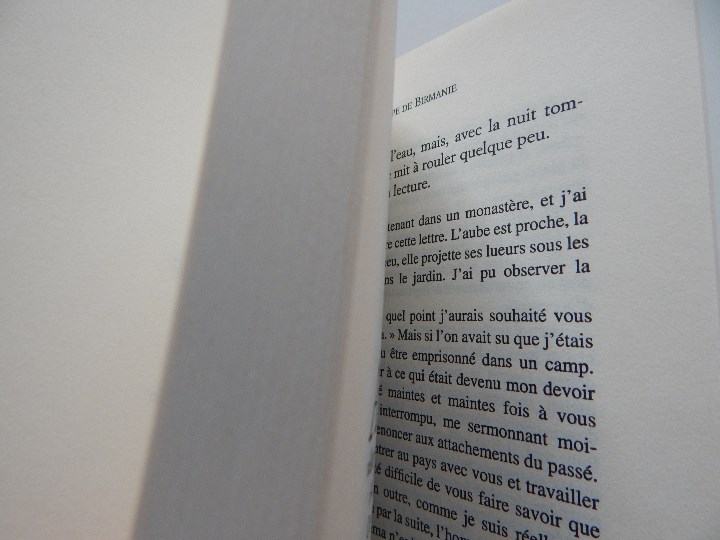 Libros: La Harpe de Birmanie - Michio Takeyama, 2002 - Libro franc&eacute;s - Foto 9