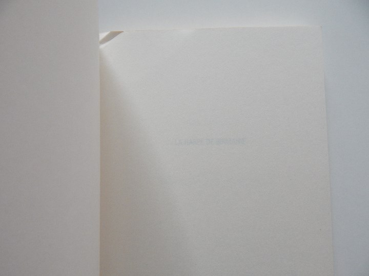 Libros: La Harpe de Birmanie - Michio Takeyama, 2002 - Libro franc&eacute;s - Foto 4