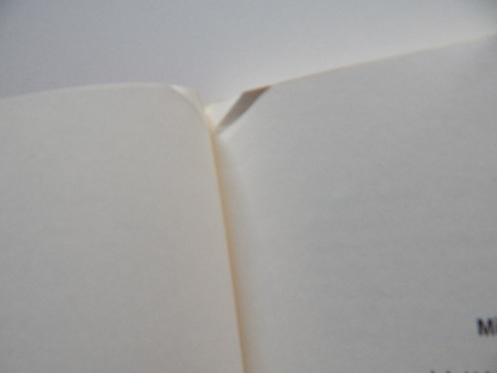 Libros: La Harpe de Birmanie - Michio Takeyama, 2002 - Libro franc&eacute;s - Foto 6