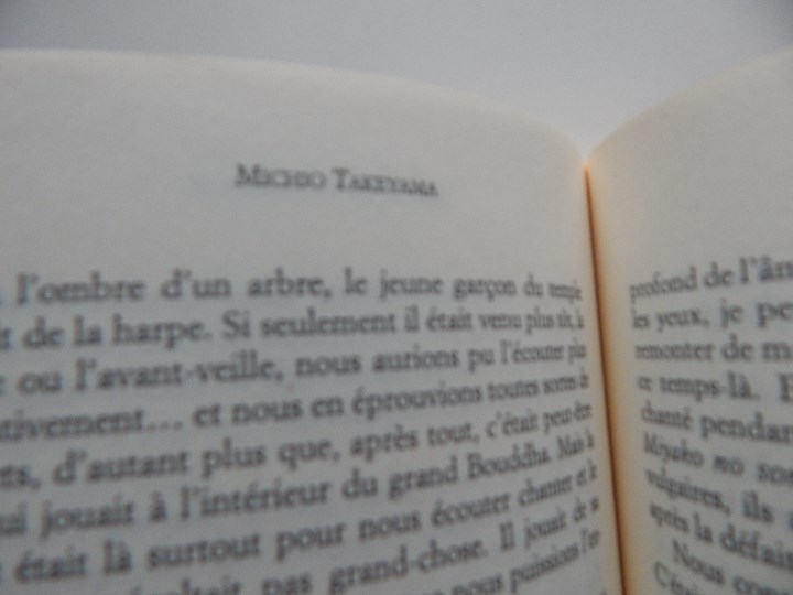 Libros: La Harpe de Birmanie - Michio Takeyama, 2002 - Libro franc&eacute;s - Foto 7