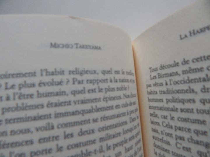 Libros: La Harpe de Birmanie - Michio Takeyama, 2002 - Libro franc&eacute;s - Foto 8