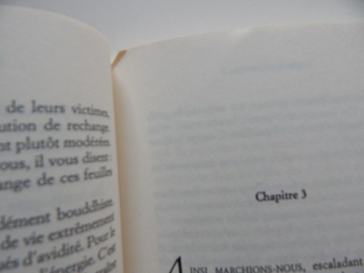 Libros: La Harpe de Birmanie - Michio Takeyama, 2002 - Libro franc&eacute;s - Foto 9