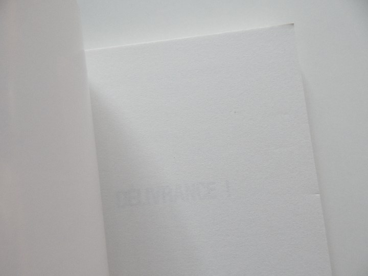 Libros: D&eacute;livrance! - Jacques Delval, 2008 - Libro en franc&eacute;s - Foto 3