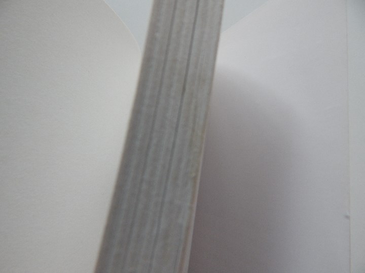 Libros: D&eacute;livrance! - Jacques Delval, 2008 - Libro en franc&eacute;s - Foto 5