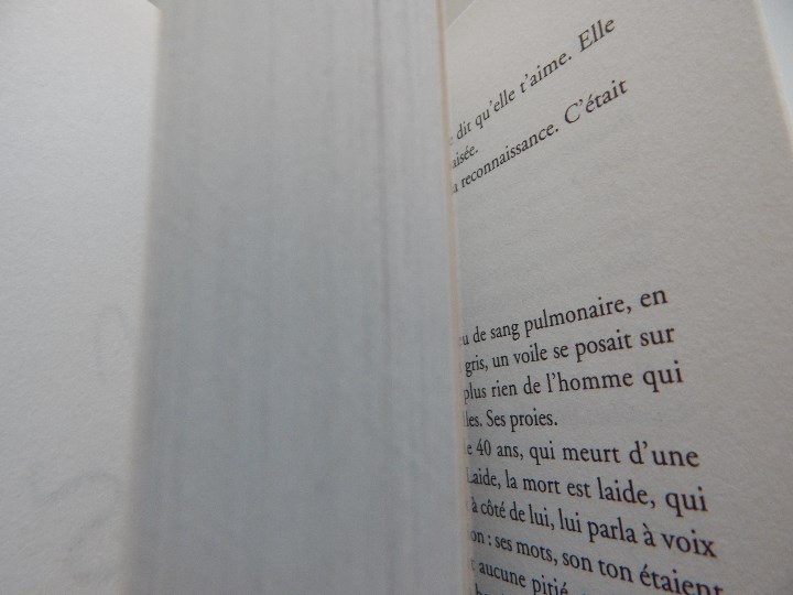 Libros: Whisper Girls - Vincent Villeminot 2011 - Libro franc&eacute;s - Foto 5