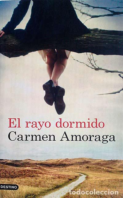 Libros: El rayo dormido - Amoraga, Carmen - Foto 1