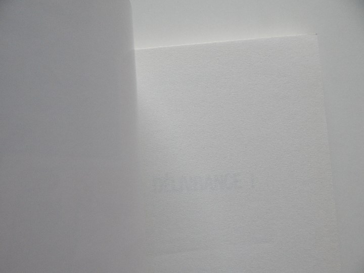 Libros: D&eacute;livrance! - Jacques Delval, 2008 - Libro en franc&eacute;s - Foto 3