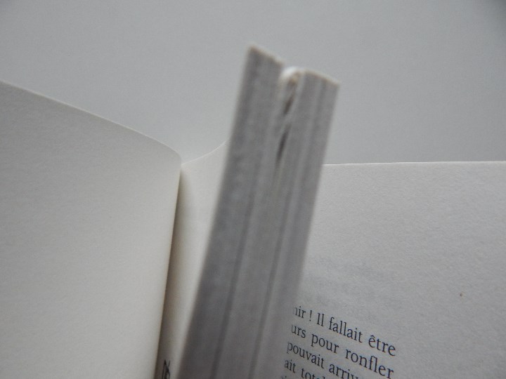 Libros: D&eacute;livrance! - Jacques Delval, 2008 - Libro en franc&eacute;s - Foto 4