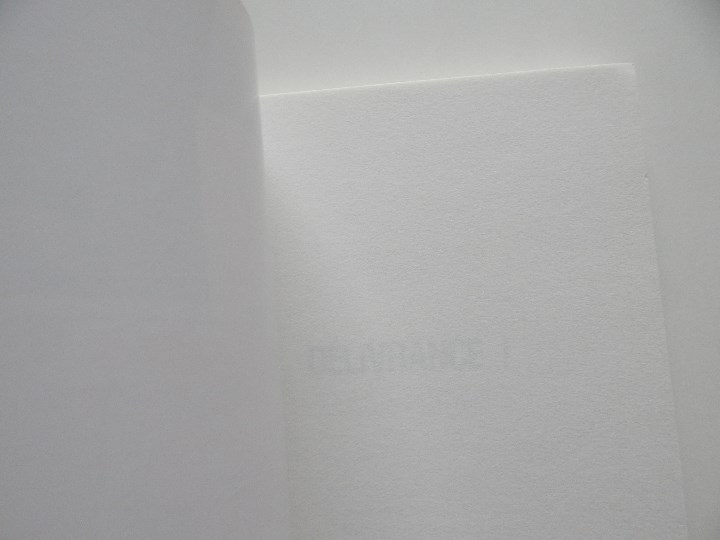 Libros: D&eacute;livrance! - Jacques Delval, 2008 - Libro en franc&eacute;s - Foto 5