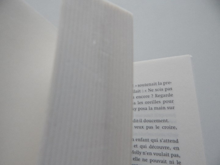 Libros: Molly Moon arr&ecirc;te le temps - Georgia Byng, 2004 - Libro franc&eacute;s - Foto 8