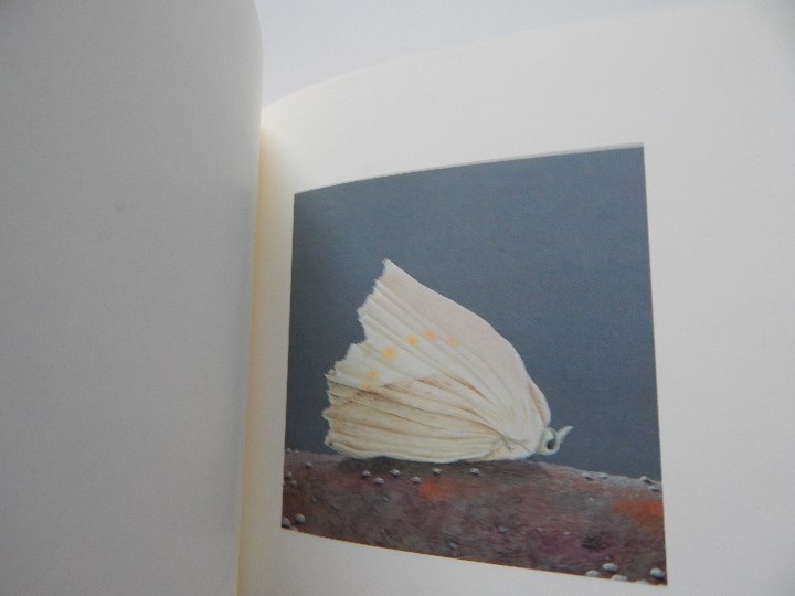 Libros: Minium R&ecirc;ve rare de 1 minute 12 - Fr&eacute;d&eacute;ric Cl&eacute;ment, 2000 - Libro franc&eacute;s - Foto 6