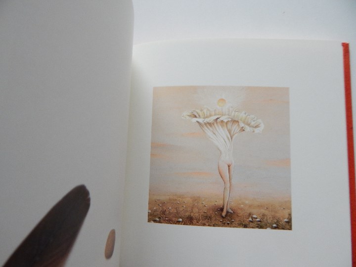 Libros: Minium R&ecirc;ve rare de 1 minute 12 - Fr&eacute;d&eacute;ric Cl&eacute;ment, 2000 - Libro franc&eacute;s - Foto 7