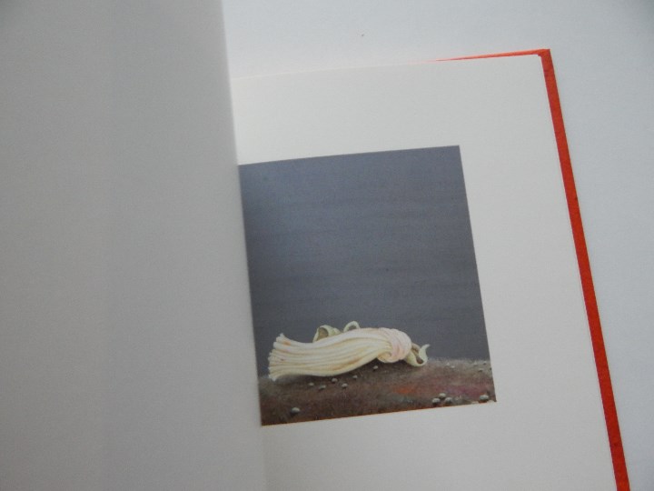 Libros: Minium R&ecirc;ve rare de 1 minute 12 - Fr&eacute;d&eacute;ric Cl&eacute;ment, 2000 - Libro franc&eacute;s - Foto 7