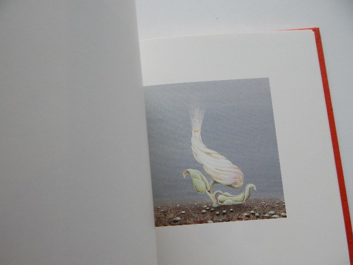 Libros: Minium R&ecirc;ve rare de 1 minute 12 - Fr&eacute;d&eacute;ric Cl&eacute;ment, 2000 - Libro franc&eacute;s - Foto 8