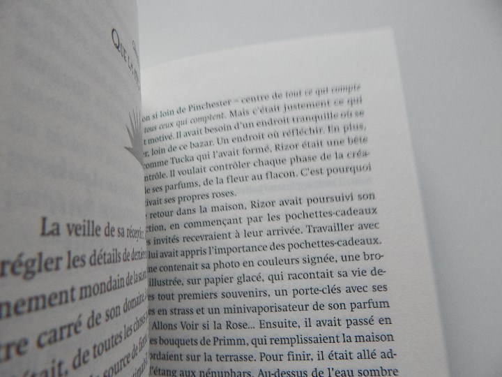 Libros: L &eacute;lixir de Rose . Une aventure d&acute;Hermux Tantamoq - Michael Hoeye 2009 - Libro franc&eacute;s - Foto 7