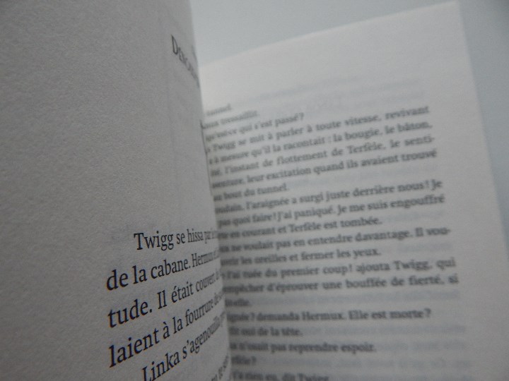 Libros: L &eacute;lixir de Rose . Une aventure d&acute;Hermux Tantamoq - Michael Hoeye 2009 - Libro franc&eacute;s - Foto 8