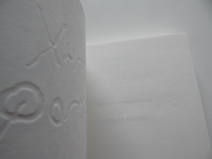 Libros: L &eacute;lixir de Rose . Une aventure d&acute;Hermux Tantamoq - Michael Hoeye 2009 - Libro franc&eacute;s - Foto 4