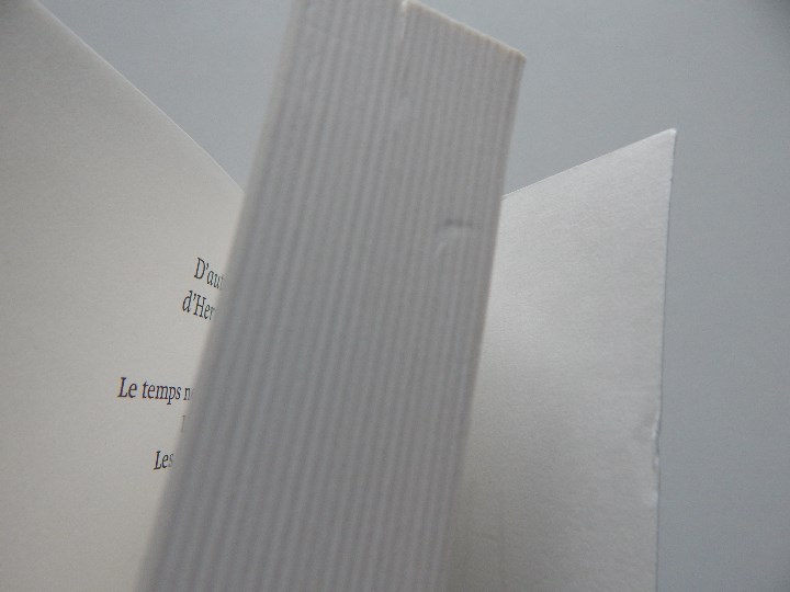 Libros: L &eacute;lixir de Rose . Une aventure d&acute;Hermux Tantamoq - Michael Hoeye 2009 - Libro franc&eacute;s - Foto 6