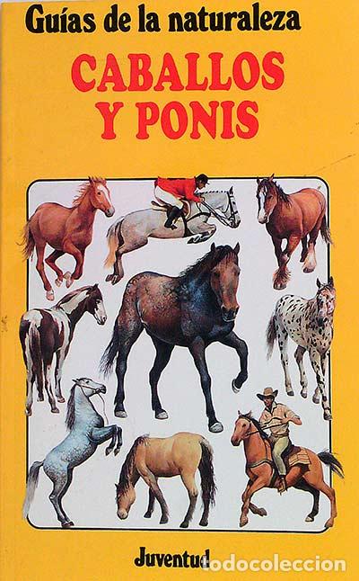Libros: Caballos y ponis - Joanna Spector - Foto 1