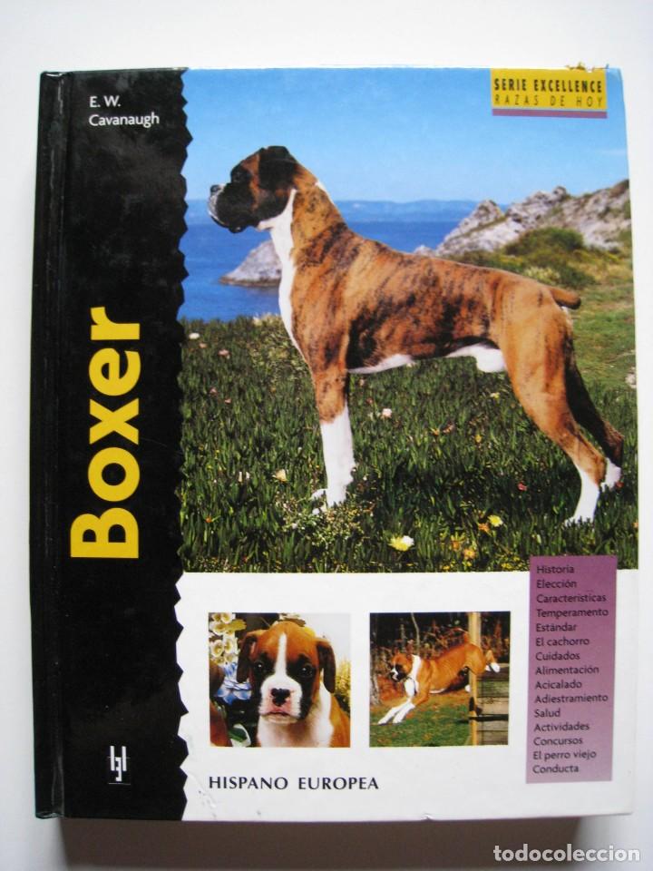 Libros: BOXER - E. W. CAVANAUGH - EDITORIAL HISPANO EUROPEA. - Foto 1