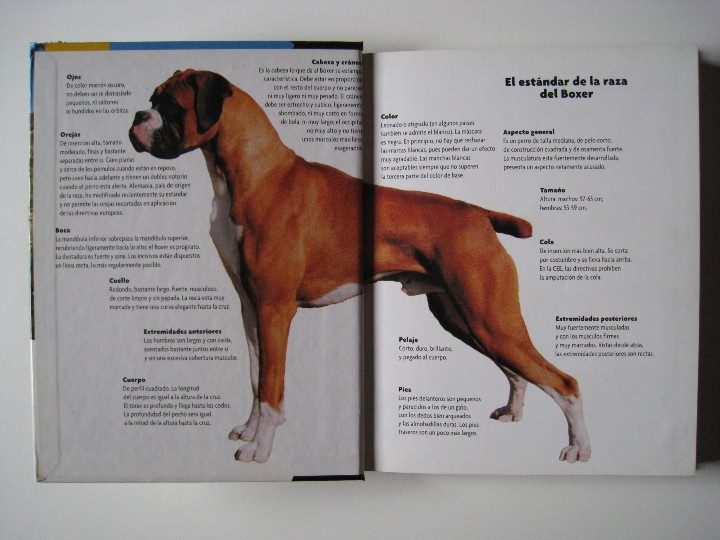 Libros: BOXER - E. W. CAVANAUGH - EDITORIAL HISPANO EUROPEA. - Foto 4