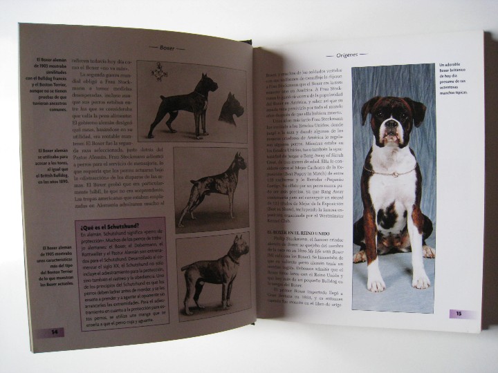 Libros: BOXER - E. W. CAVANAUGH - EDITORIAL HISPANO EUROPEA. - Foto 5