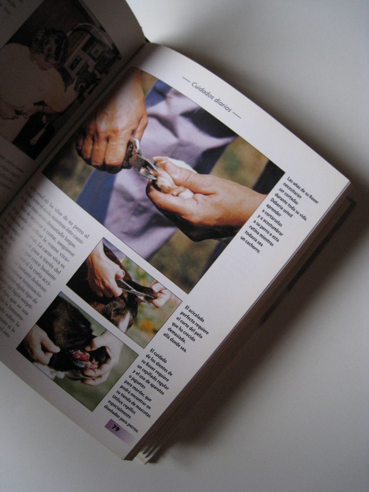 Libros: BOXER - E. W. CAVANAUGH - EDITORIAL HISPANO EUROPEA. - Foto 6