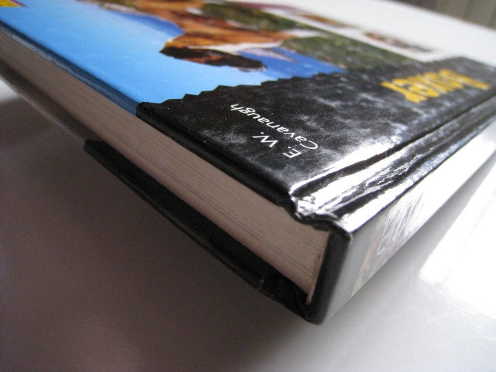 Libros: BOXER - E. W. CAVANAUGH - EDITORIAL HISPANO EUROPEA. - Foto 9
