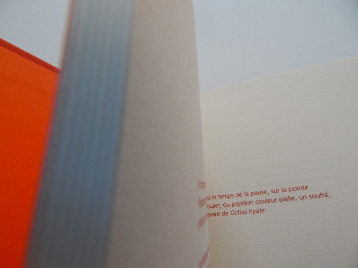 Libros: Minium R&ecirc;ve rare de 1 minute 12 - Fr&eacute;d&eacute;ric Cl&eacute;ment, 2000 - Libro franc&eacute;s - Foto 6