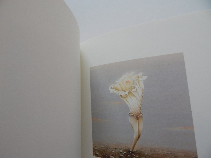 Libros: Minium R&ecirc;ve rare de 1 minute 12 - Fr&eacute;d&eacute;ric Cl&eacute;ment, 2000 - Libro franc&eacute;s - Foto 8
