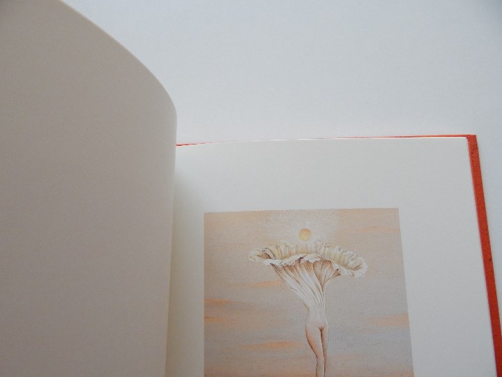 Libros: Minium R&ecirc;ve rare de 1 minute 12 - Fr&eacute;d&eacute;ric Cl&eacute;ment, 2000 - Libro franc&eacute;s - Foto 5