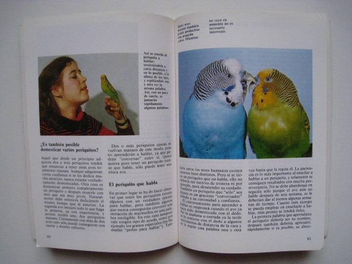 Libros: PERIQUITOS - HARRO HIERONIMUS. - Foto 6