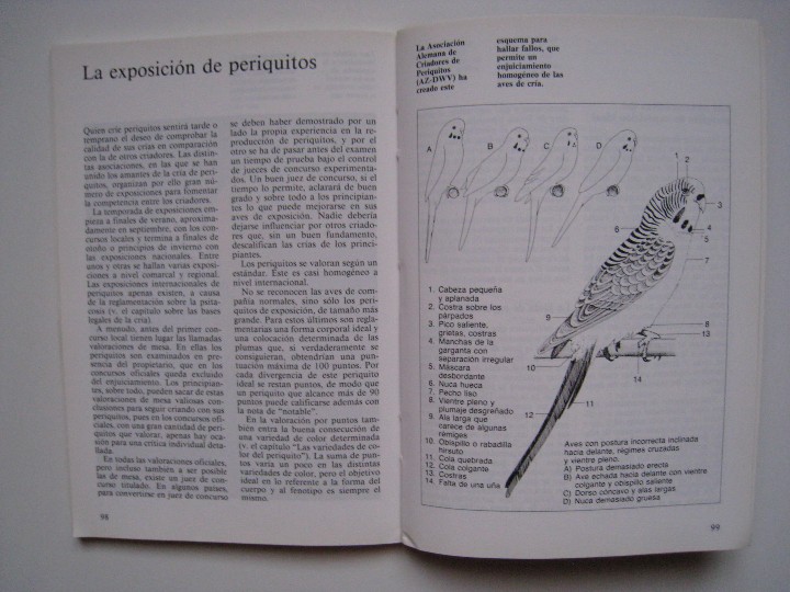 Libros: PERIQUITOS - HARRO HIERONIMUS. - Foto 7