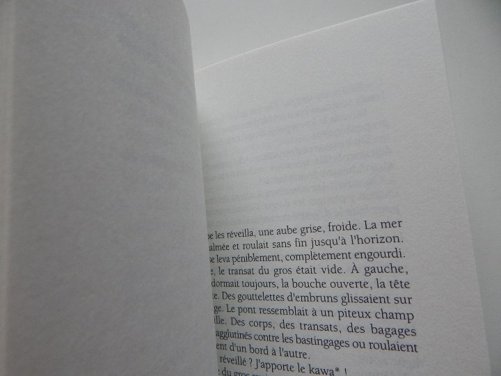 Libros: D&eacute;livrance! - Jacques Delval, 2008 - Foto 8