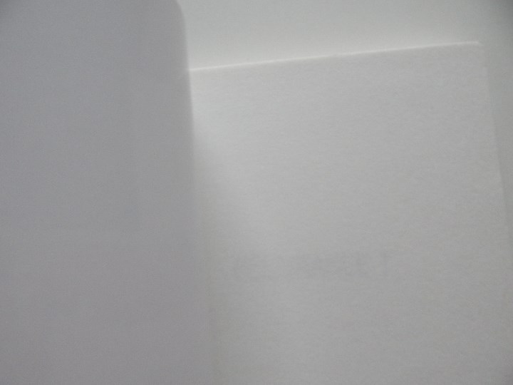 Libros: D&eacute;livrance! - Jacques Delval, 2008 - Foto 4