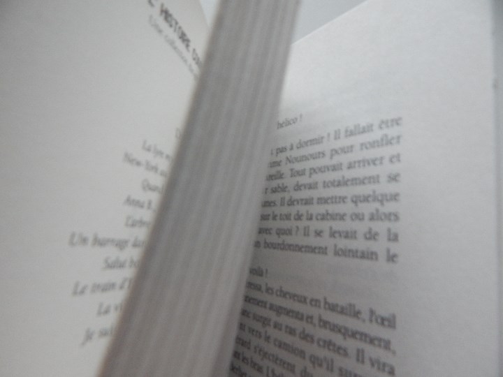 Libros: D&eacute;livrance! - Jacques Delval, 2008 - Foto 7