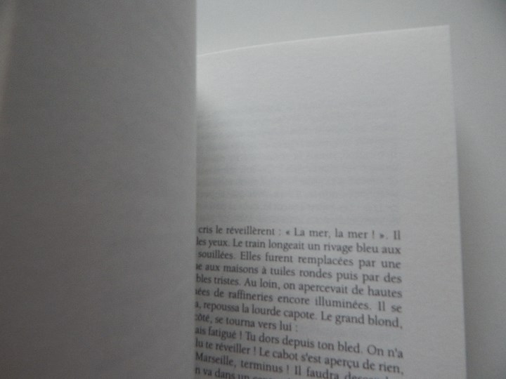 Libros: D&eacute;livrance! - Jacques Delval, 2008 - Foto 9