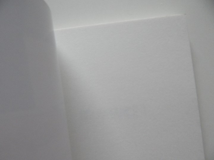 Libros: D&eacute;livrance! - Jacques Delval, 2008 - Foto 4