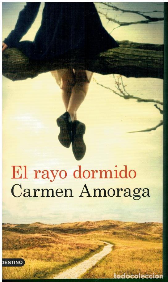 Libros: EL RAYO DORMIDO. 1&ordf; edici&oacute;n. - Foto 1