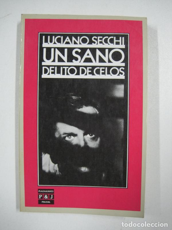 Libros: Un sano delito de celos / Luciano Secchi - Foto 1