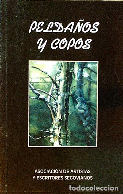 Libros: Pelda&ntilde;os y copos - Varios - Foto 1