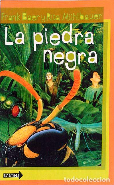 Libros: La piedra negra - Frank Baer, Rita M&uuml;hlbauer - Foto 1