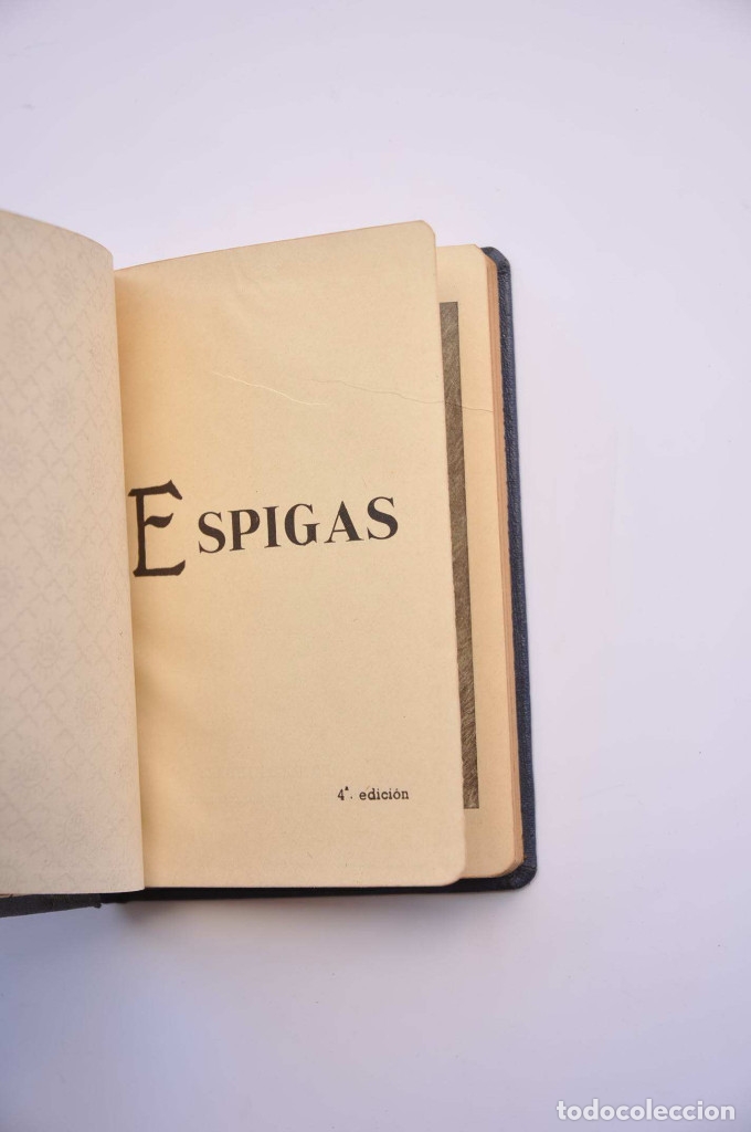 Libros: Espigas - INSTITUTO MARIA REPARADORA - Foto 2