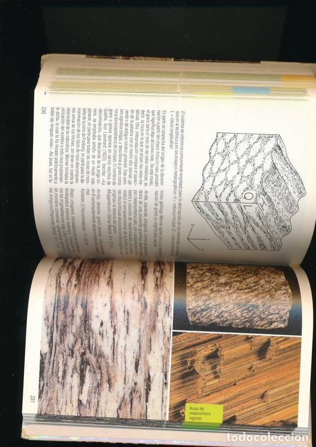 Libros: MARESCH, WALTER / MEDENBACH, OLAF - Rocas - Foto 4