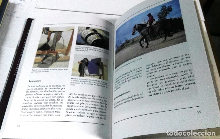 Libros: Vincenzo de Mar&iacute;a, Los caballos ib&eacute;ricos, Vecchi, Barcelona, 2002 - Foto 2