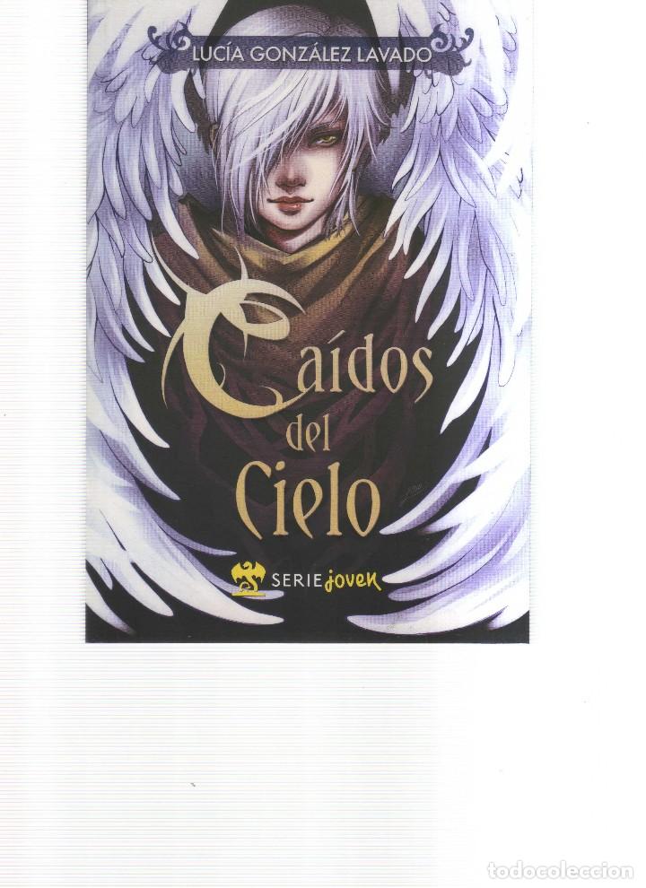 Libros: CAIDOS DEL CIELO SERIE JOVEN - Foto 1